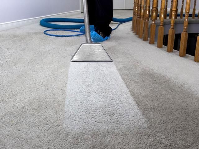 The Carpet Cleaning Pro