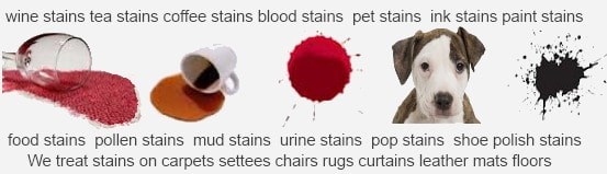 Stain Removal Service