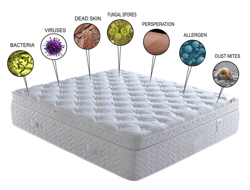 mattress cleaning service