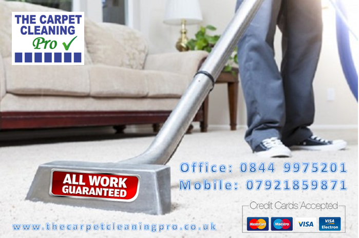 The Carpet Cleaning Pro