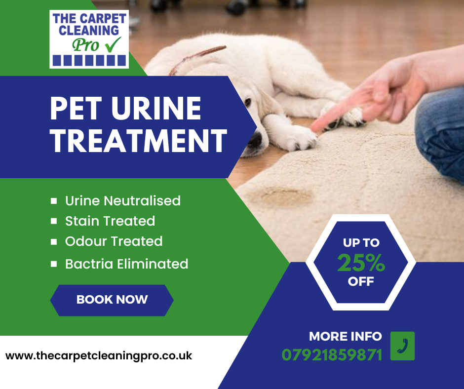 pet urine treatment carpet