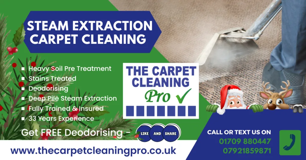 local carpet cleaners