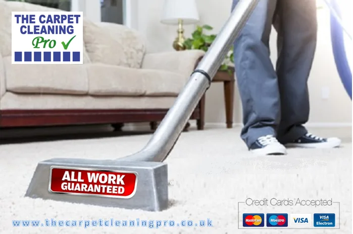 the carpet cleaning pro